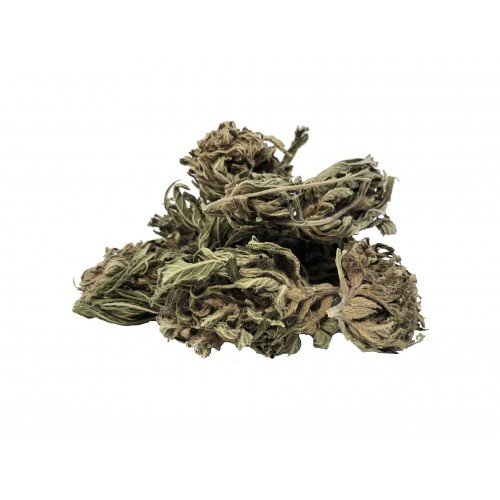 CANVORY natürliche Freiheit. Österreich Cannabis Online Shop