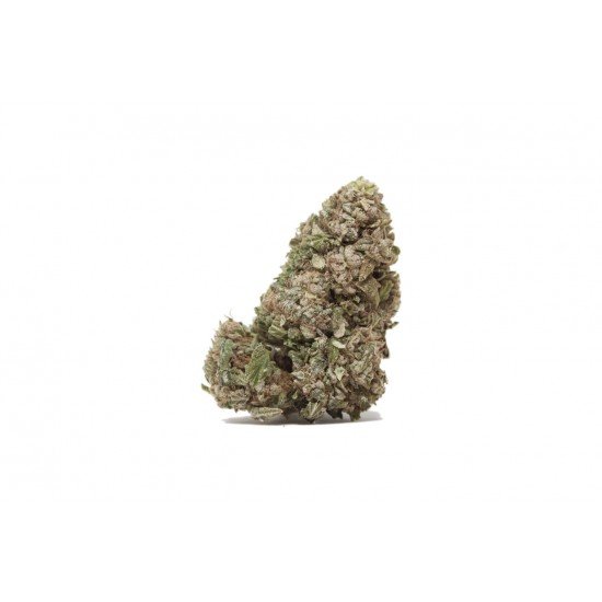Burnt Toast - 12 CBG freeze-dried Cannabigerol Cannabis Buds, 10 gram - CANVORY