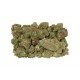 CBD Therapy - 5 CBD freeze-dried Cannabidiol cannabis flowers, 2 grams - CANVORY