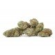 CBD Therapy - 5 CBD freeze-dried Cannabidiol cannabis flowers, 10 grams - CANVORY