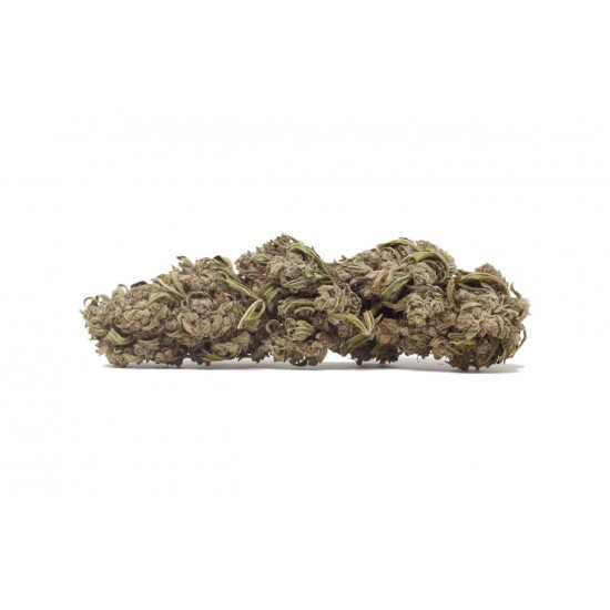 Green Mango - 10 CBG Cannabigerol Cannabis Buds, 2 gram - CANVORY