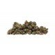 Harlequin CBD - 4 CBD Cannabidiol Cannabis Buds, 4 gram - CANVORY