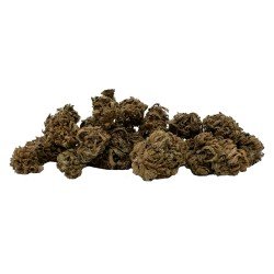 Lemon Doodle - 5% CBD Cannabidiol Cannabis Bourgeons, 2 grammes Lemon Doodle - 5% CBD Cannabidiol Cannabis Bourgeons, 2 grammes
