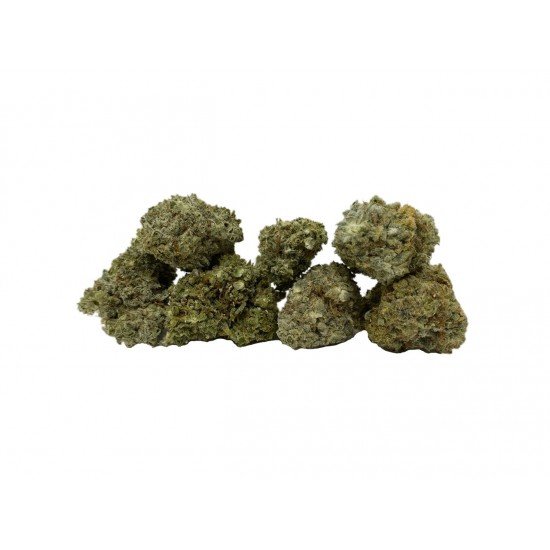 Orange Haze - 5 CBD freeze-dried Cannabidiol cannabis flowers, 4 grams - CANVORY