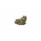 Silver Haze - 5 CBD freeze-dried Cannabidiol cannabis flowers, 10 grams - CANVORY
