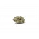 Silver Star - 5 CBD freeze-dried Cannabidiol cannabis flowers, 4 grams - CANVORY