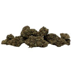 Sour Diesel Haze - 5% CBD fleurs de cannabis Cannabidiol lyophilisées, 2 grammes