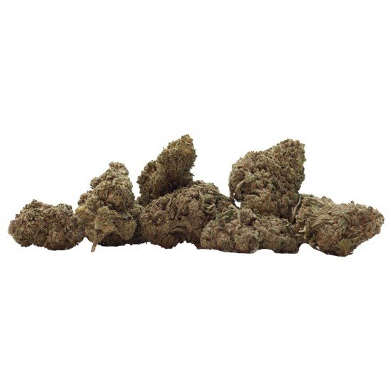 Sour Tangie - 5% CBD Cannabidiol Cannabis Buds, 10 gram - CANVORY